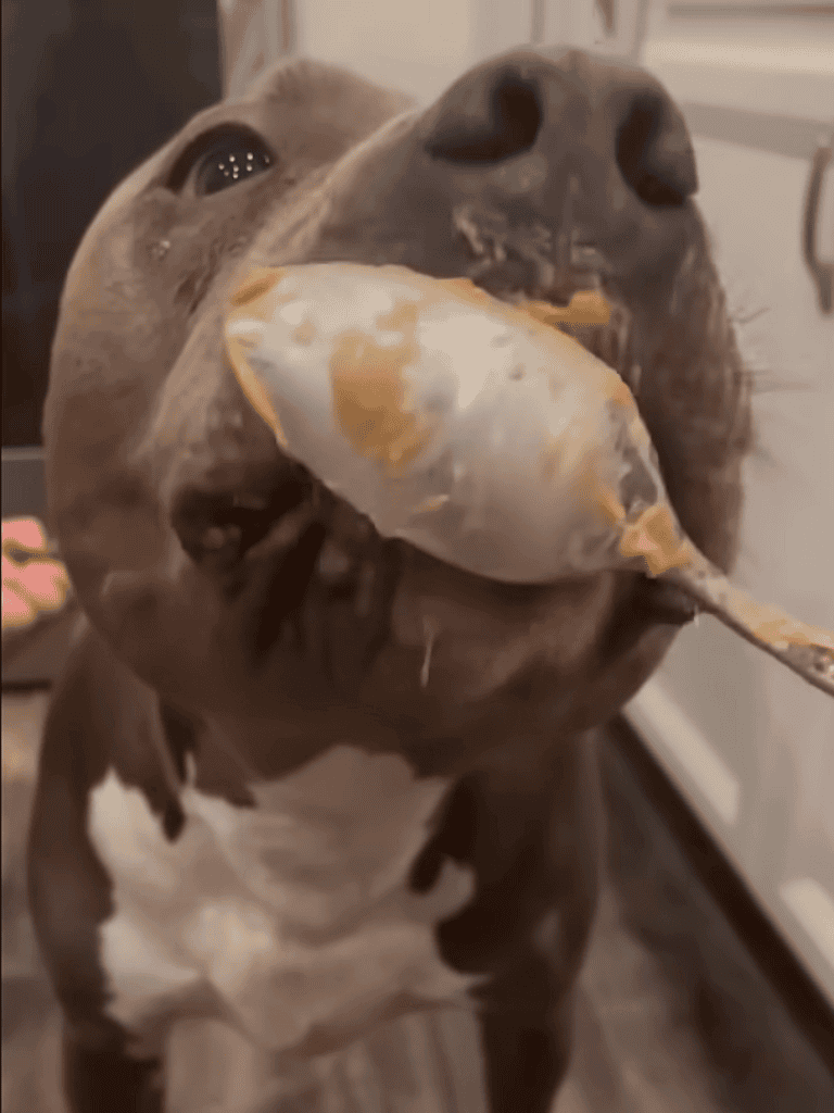 Adorable dog with fish in mouth, ready to enjoy a tasty treat.