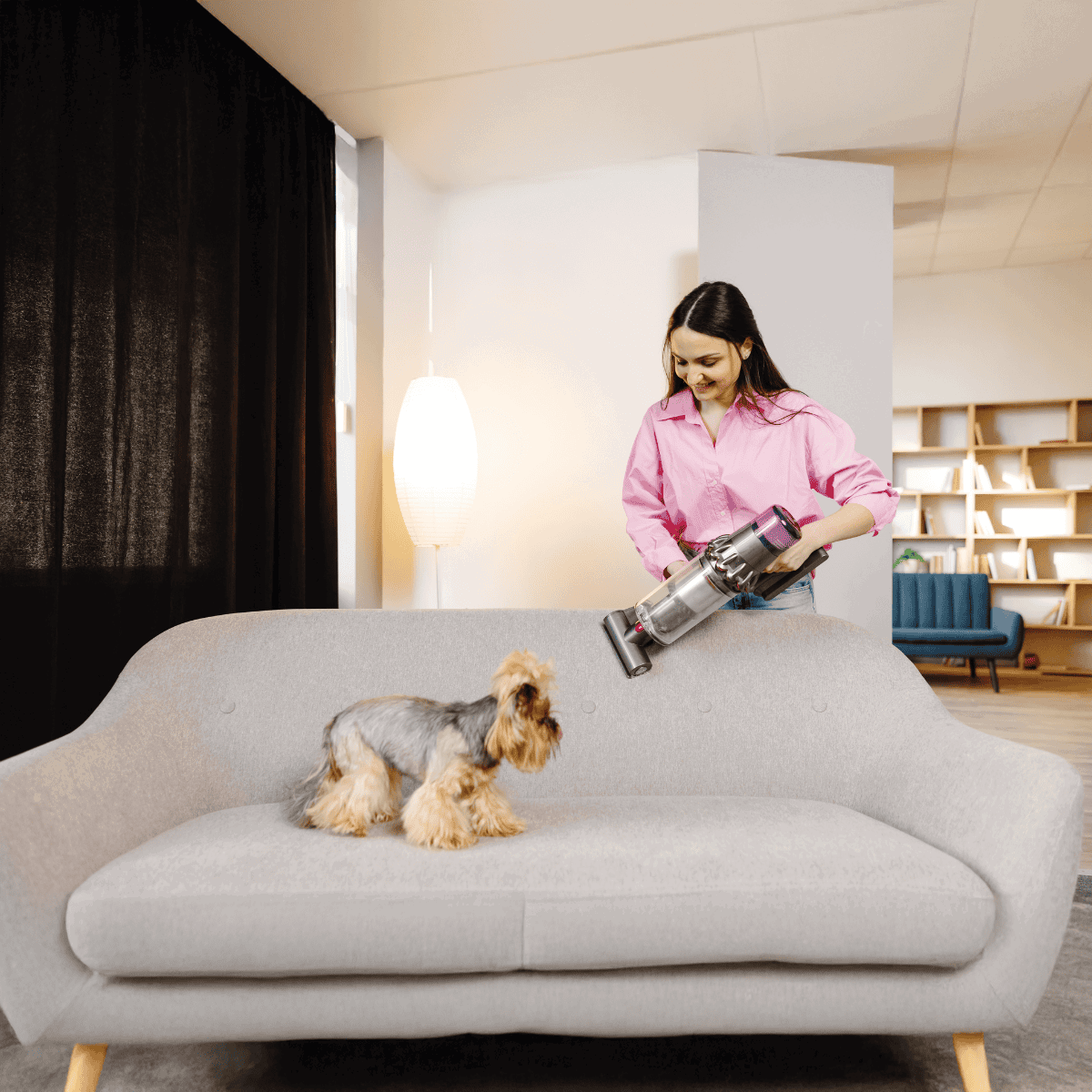 Woman using a vacuum cleaner to clean a small dog on a modern sofa in a living room.