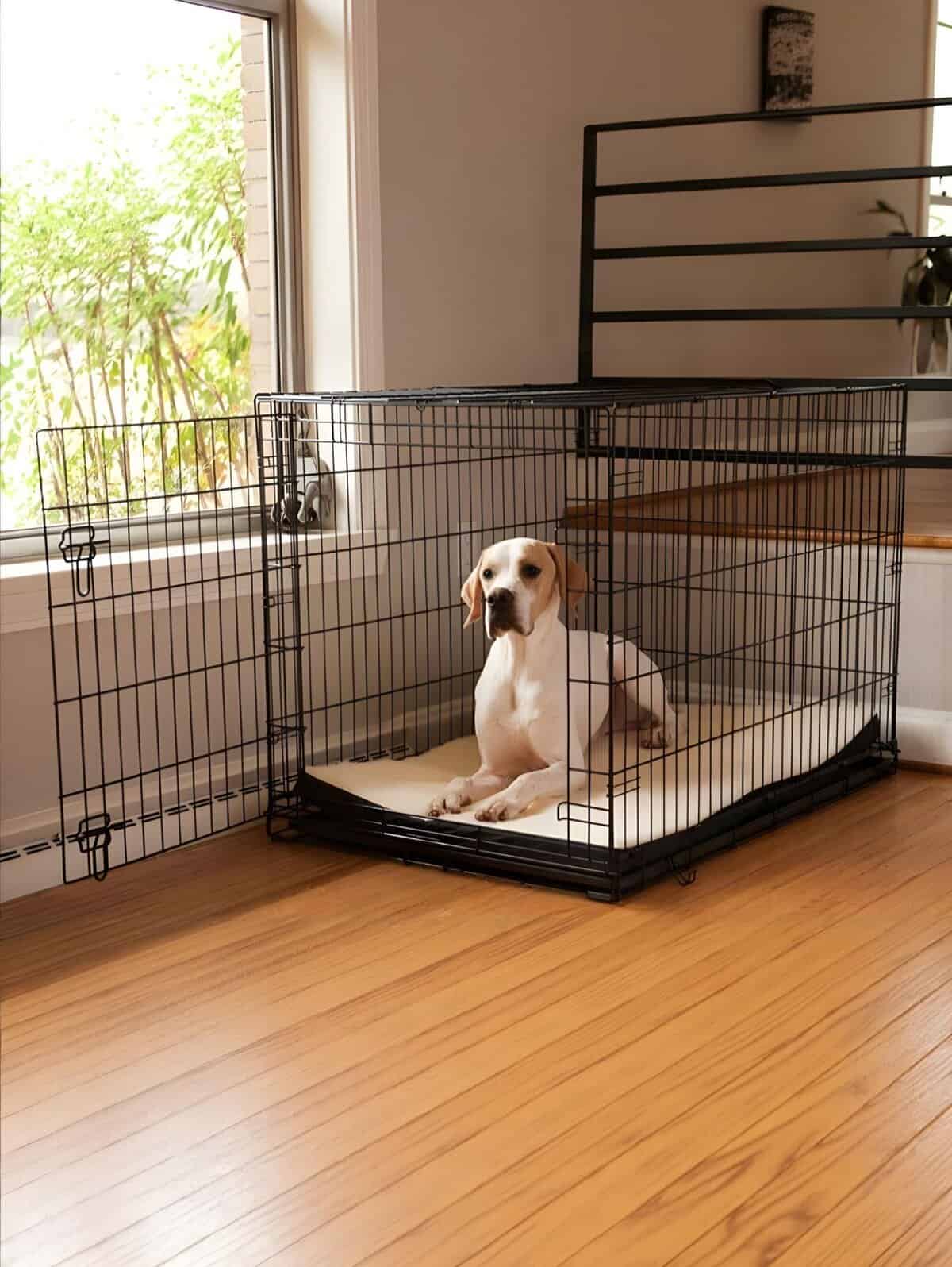 Dog crate with a puppy inside for safe pet confinement, ideal for training and resting.