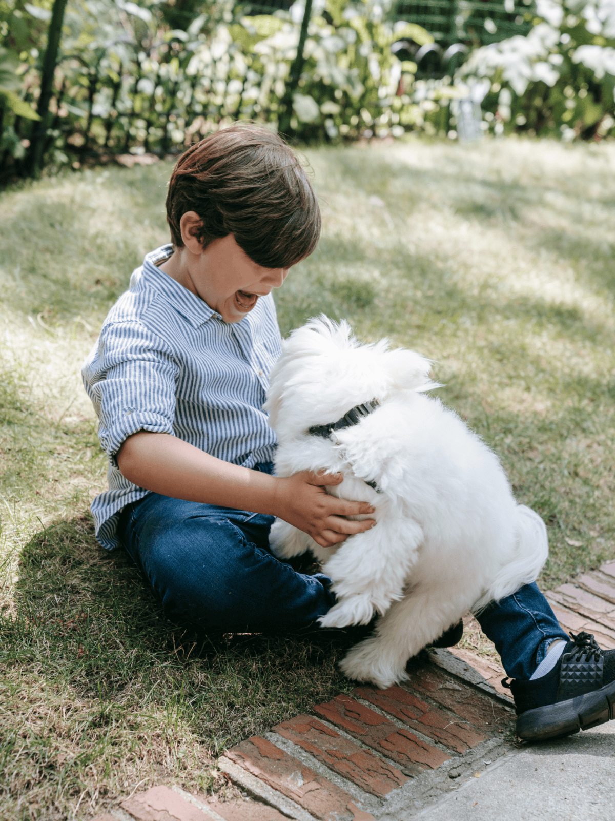 Adorable boy playing with fluffy white dog in garden, cheerful pet bonding moment.