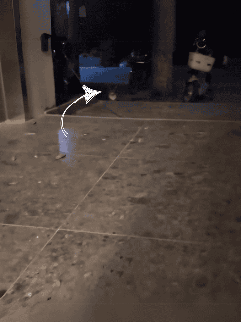 Dog fix for dog poop cleanup.