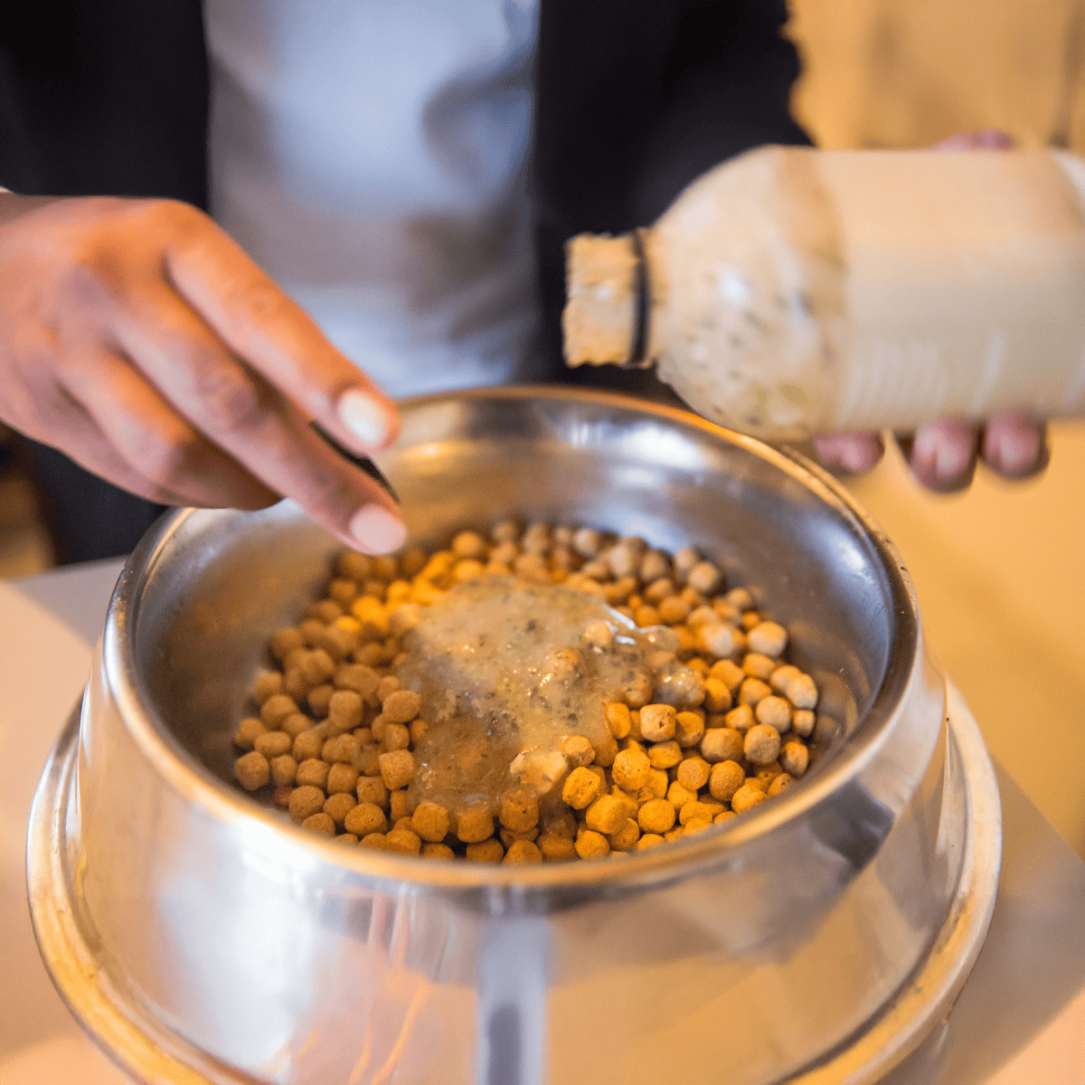 Dog food being prepared with nutritious ingredients in a metal bowl.