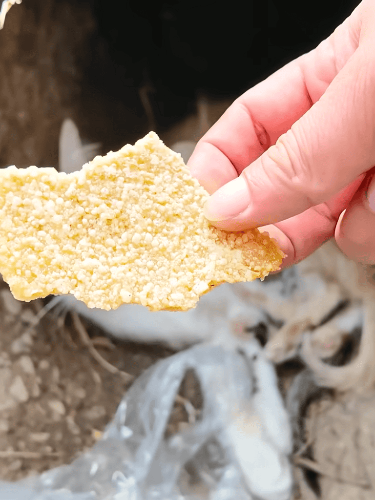 Dog treat held by a hand, with a background of soil and debris.
