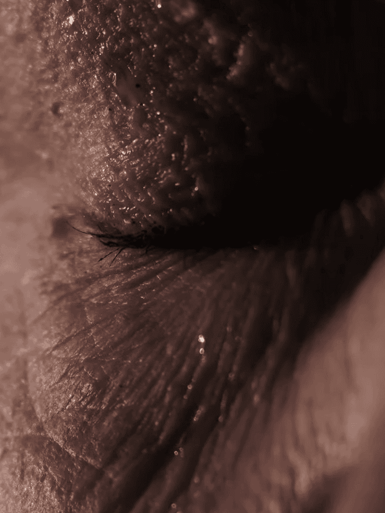 Close-up of a pug's nose highlighting unique skin texture and details.