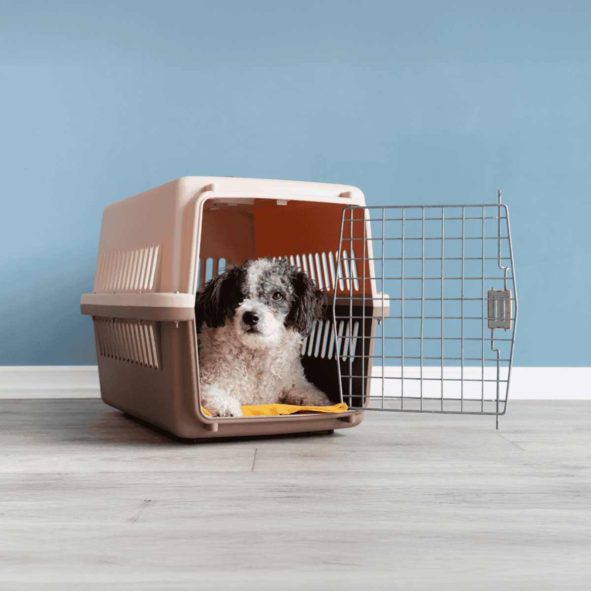 Dog crate, pet carrier, dog travel, indoor dog cage, portable dog crate, pet transport.