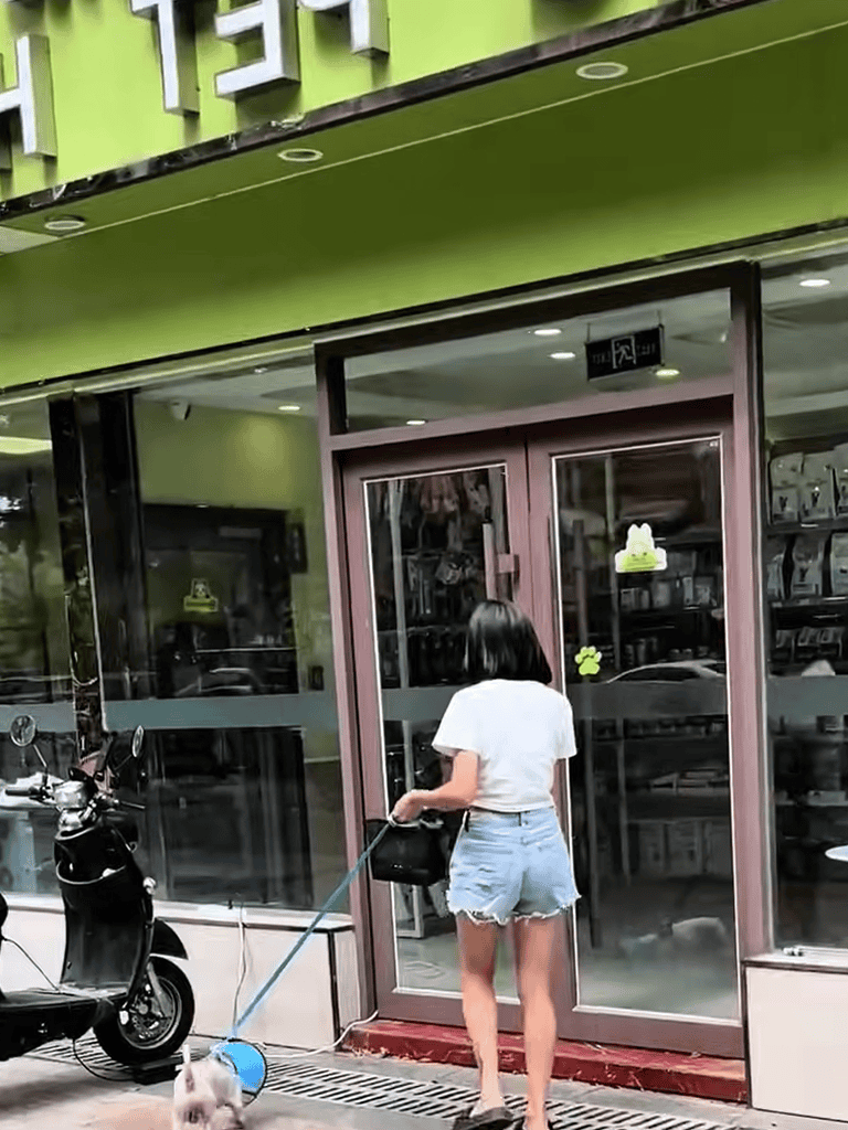 Dog grooming store with a person walking their dog outside.