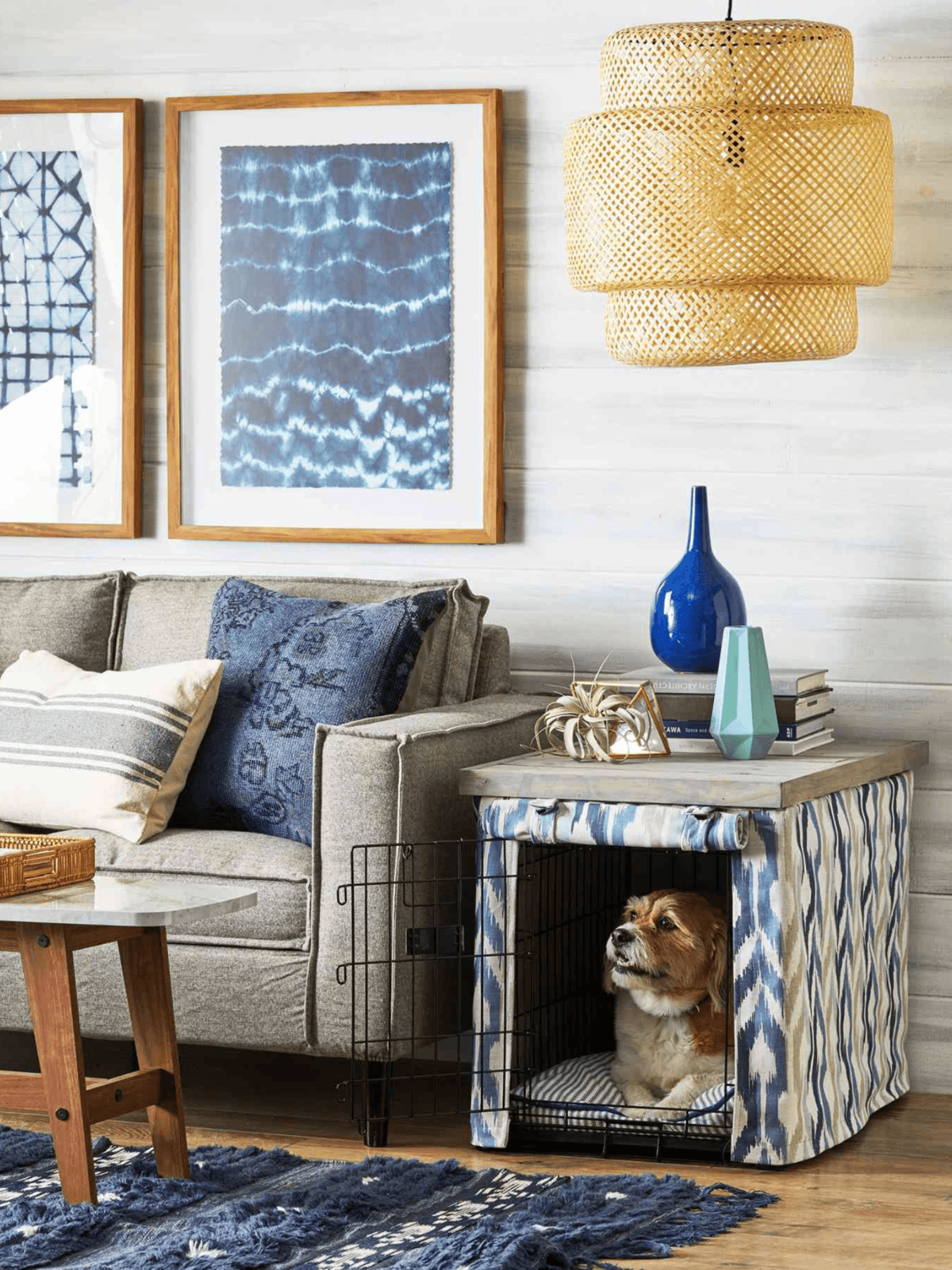 Dog crate with dog inside in a stylish living room with blue accents and contemporary decor.