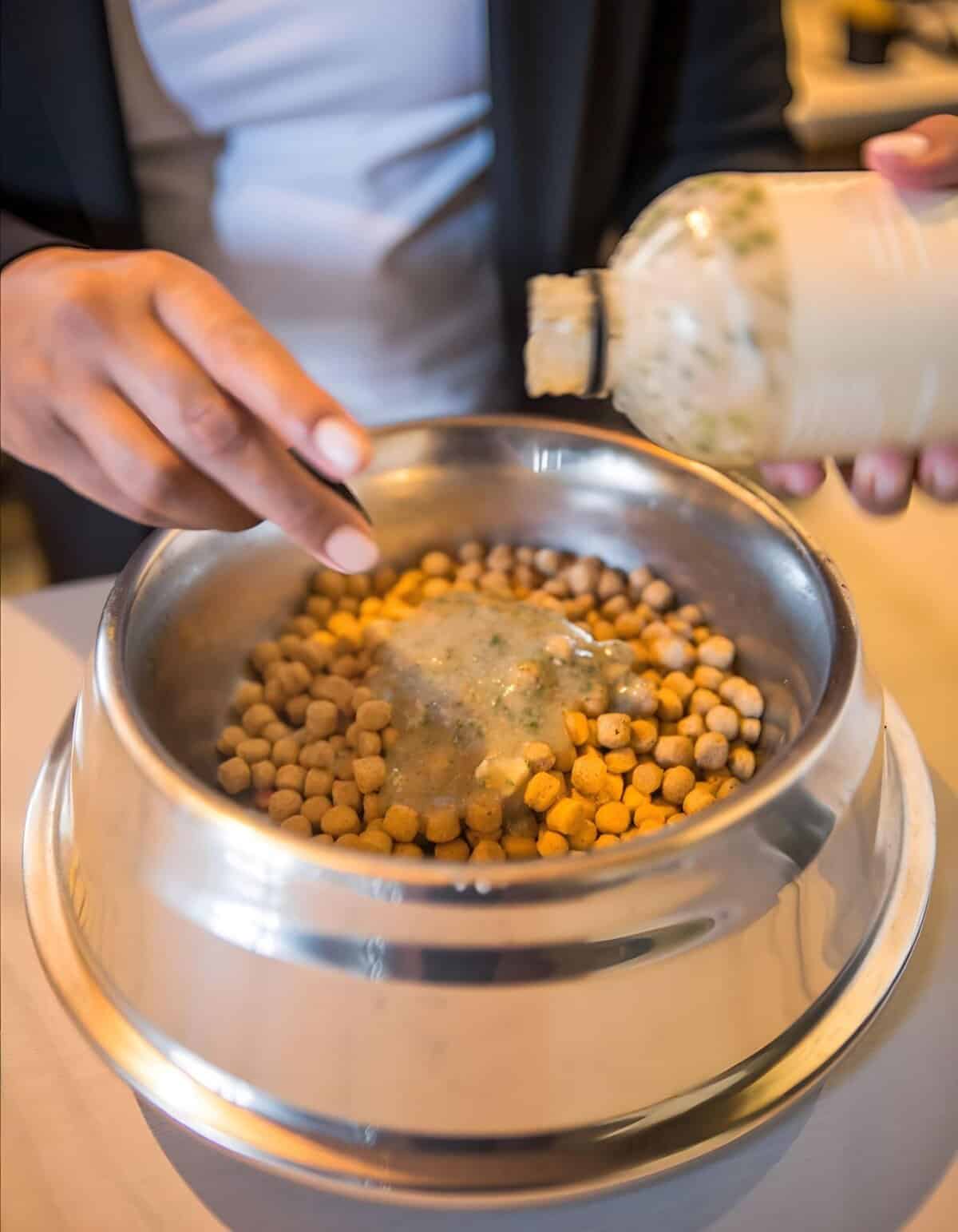 Dog food meal topper added to dry kibble for enhanced nutrition.