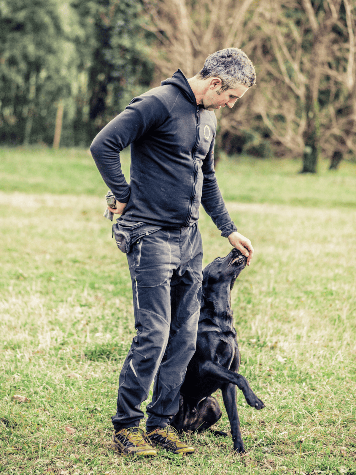 High-quality dog training in nature setting.