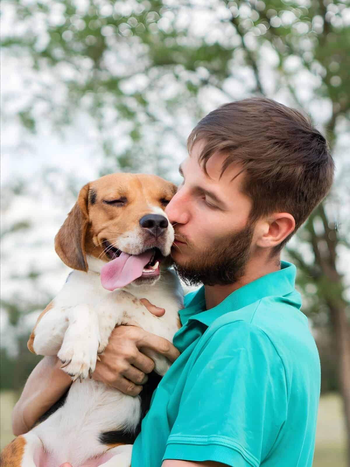 Dog playing with owner, happy puppy, joyful pet care, outdoor dog bonding.