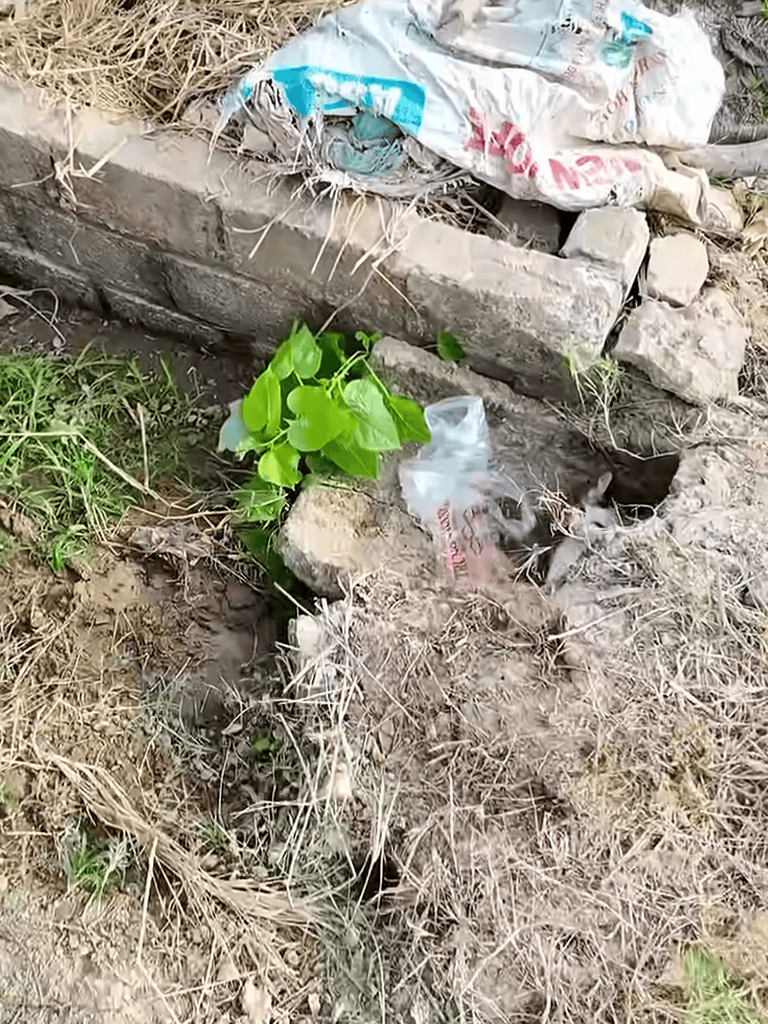Unkempt outdoor space filled with litter, weeds, and trash, highlighting the need for cleanup.