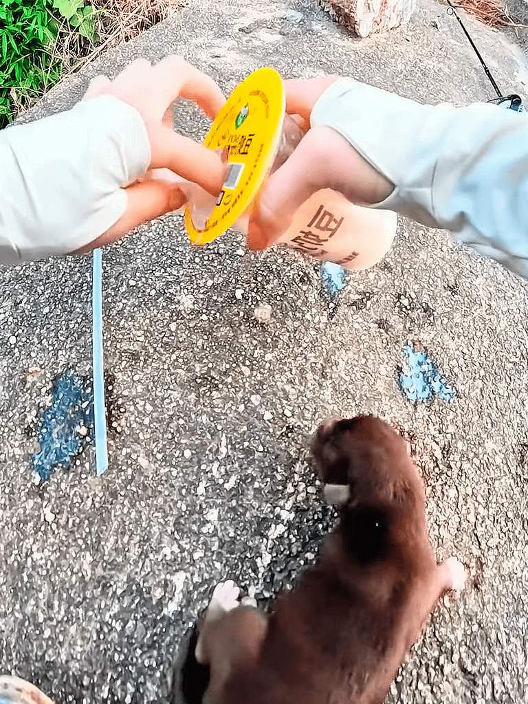 Alt text: Person measuring ground near puppy with a dog-friendly device outdoors.