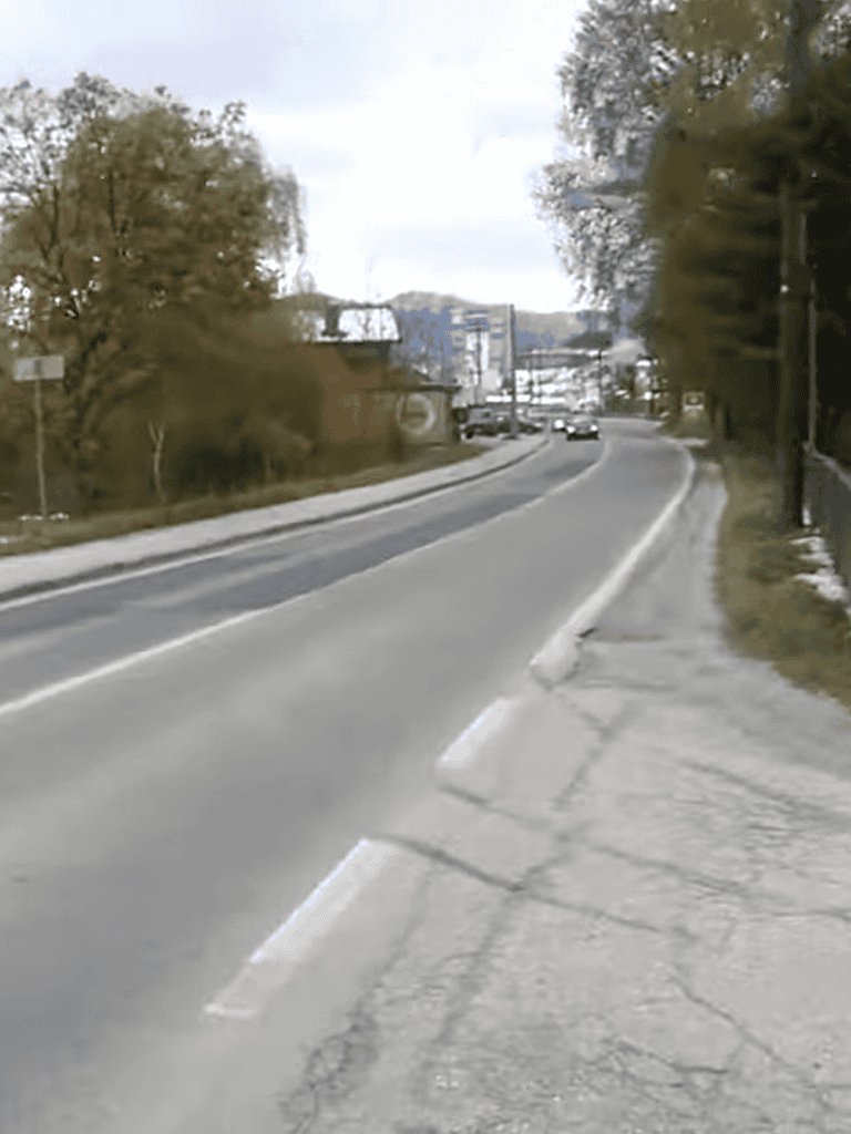 Urban street with trees, vehicles, and sidewalks in a city setting.