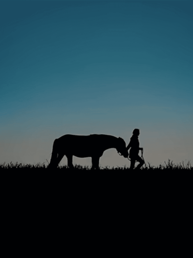 Silhouette of a child leading a horse during sunset, demonstrating bonding and outdoor adventure.