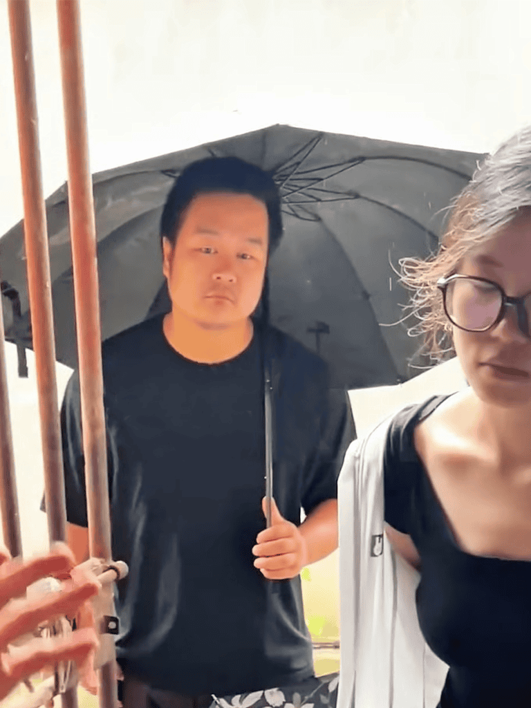 People with umbrellas in the rain.