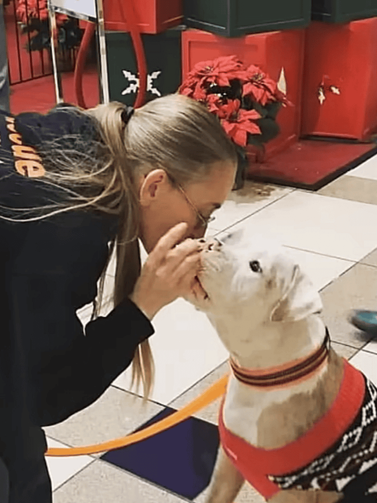 Friendly dog and woman greeting affectionately indoors, holiday decor, Christmas poinsettia.