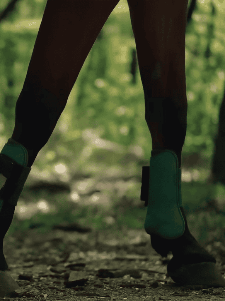 Dog boots providing protection and comfort for dogs during outdoor activities.