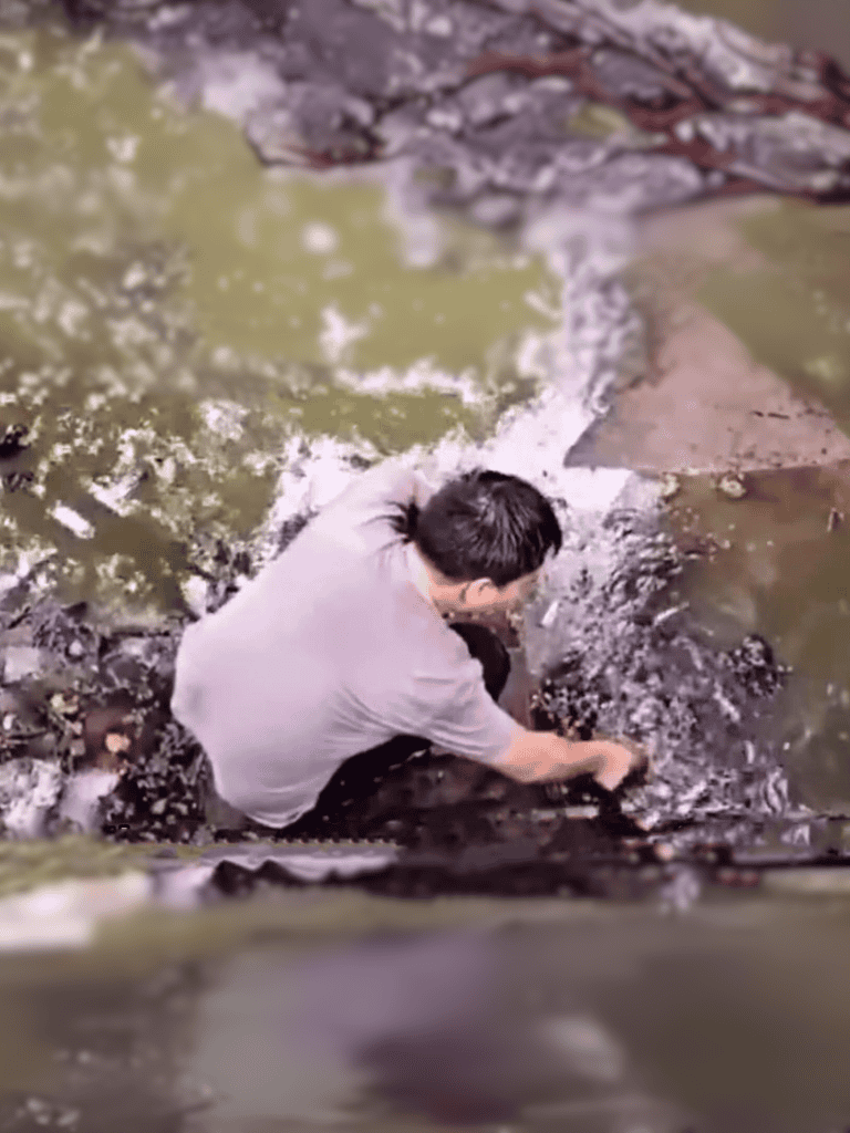 A person saving a dog trapped in a creek with rushing water.