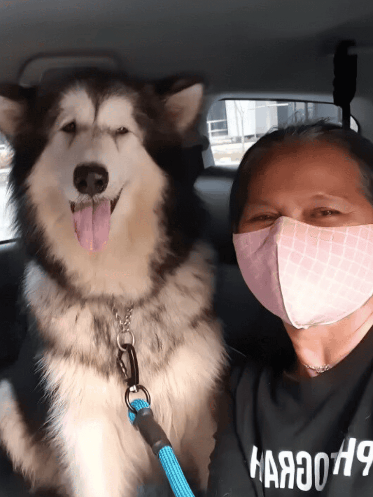 Dog and owner wearing masks in car, happy moment, pet travel safety, dog owner bonding, dog grooming & care.