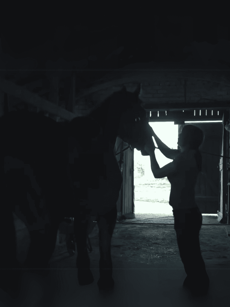 Horse and child in barn, caring and bonding.