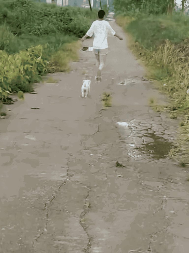 Child running with small dog on rural dirt trail.