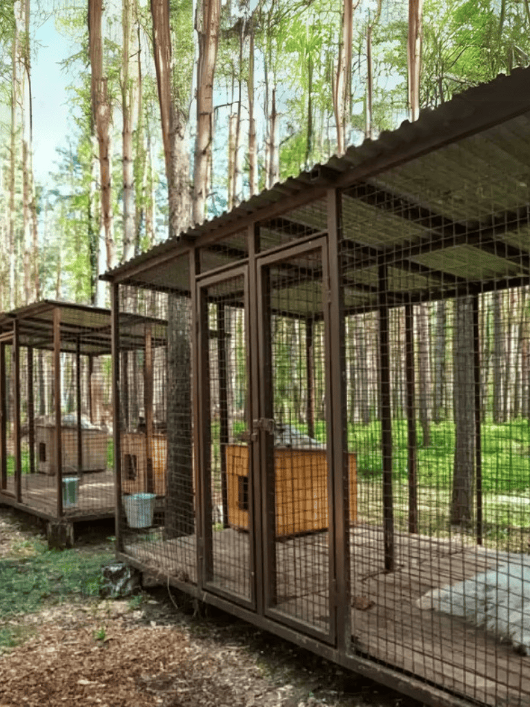 Dog kennel shelters for outdoor dog boarding and safety in nature.