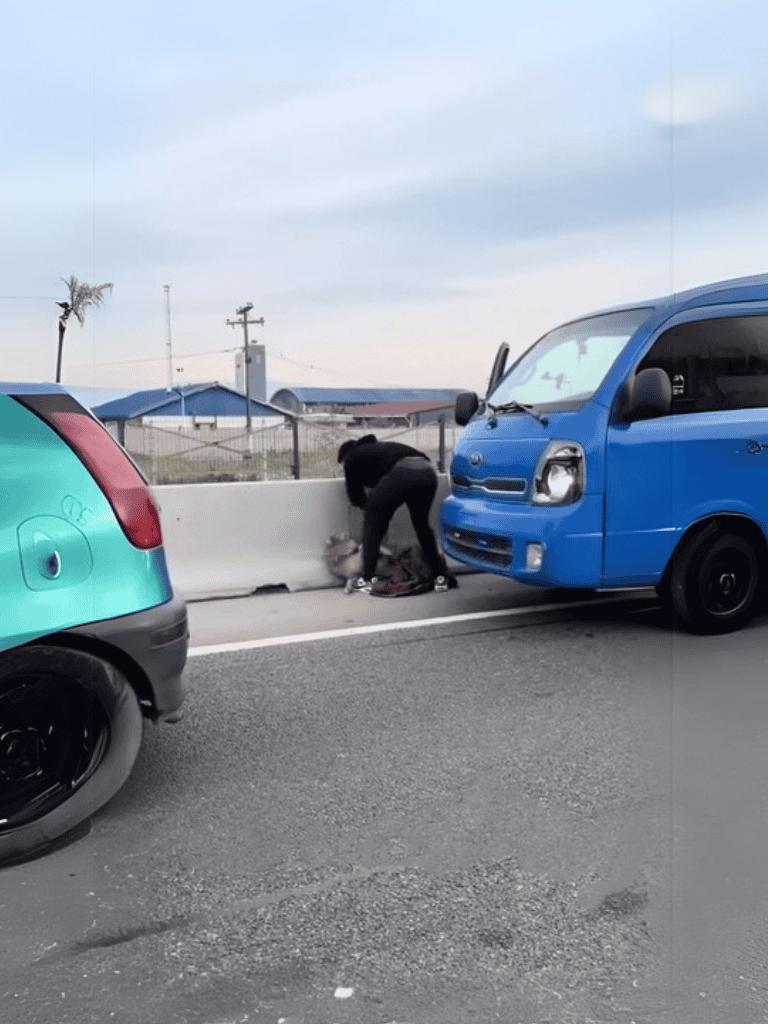 Dog accident roadside rescue scene.