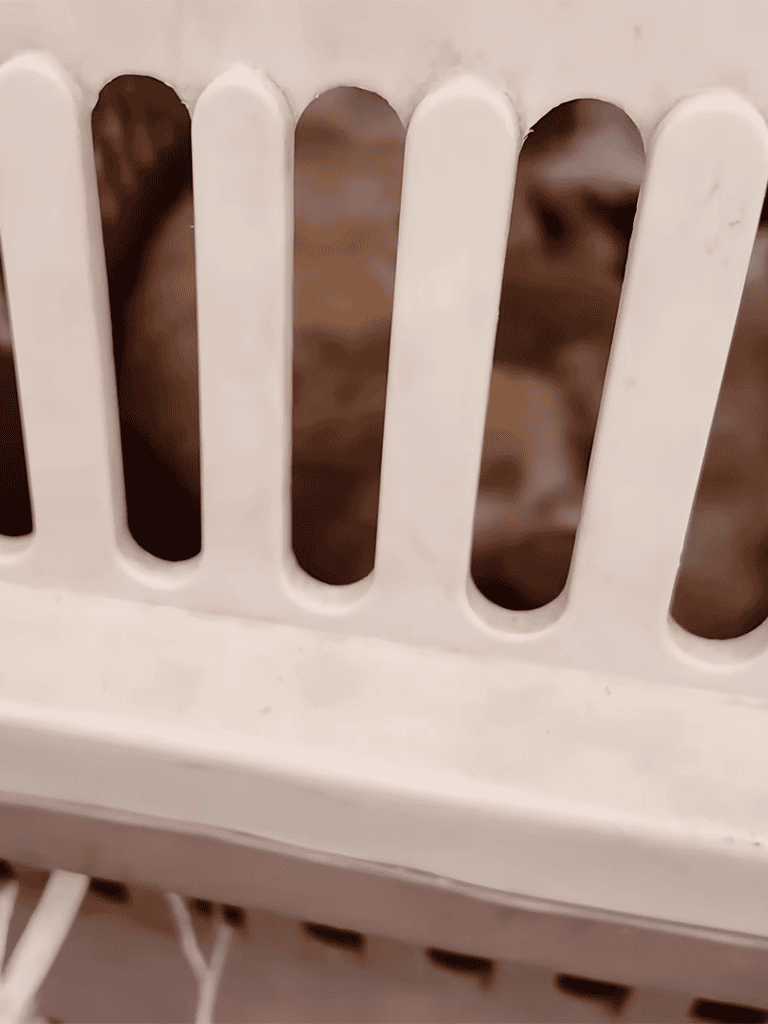Close-up of a shy dog peeking through the white dog crate slats, showcasing pet care safety and comfort.