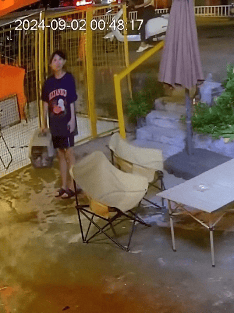 Dogfix.com, outdoor patio setup, security camera footage, evening backyard scene.