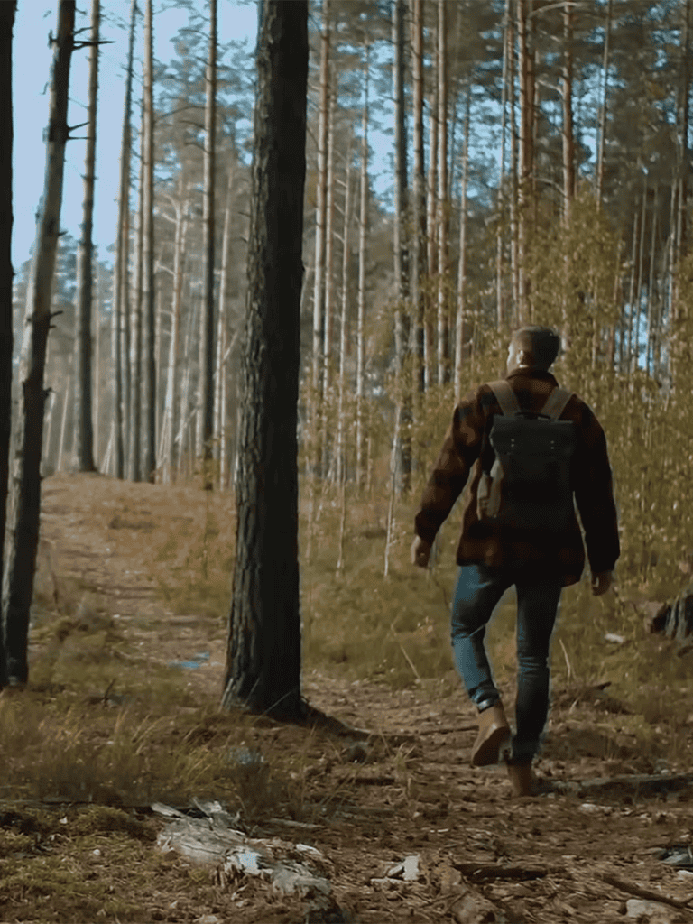 Person walking in the forest with dog on trail.