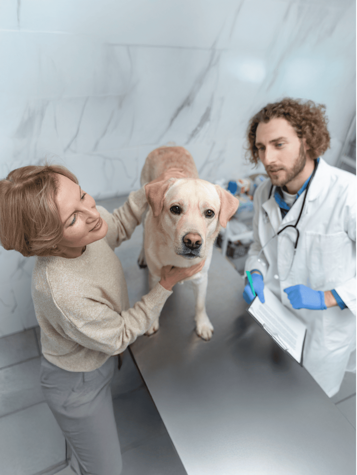 Veterinary care for dogs and pets at Dogfix.com.