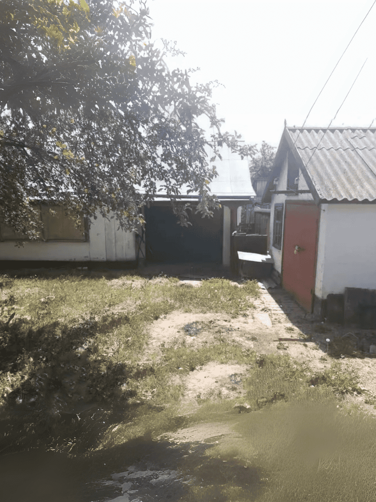 A cozy backyard scene featuring a shed, trees, and a small doghouse, perfect for pet play areas and outdoor pet care.