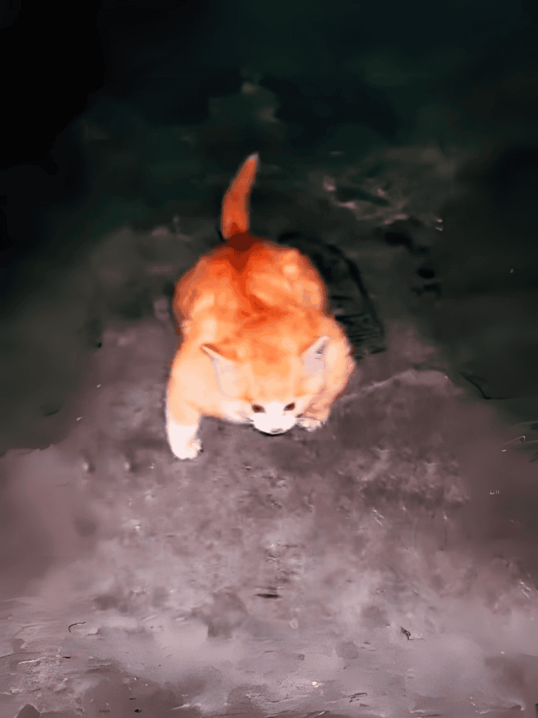 Cute orange cat exploring outdoors at night in a dark environment.
