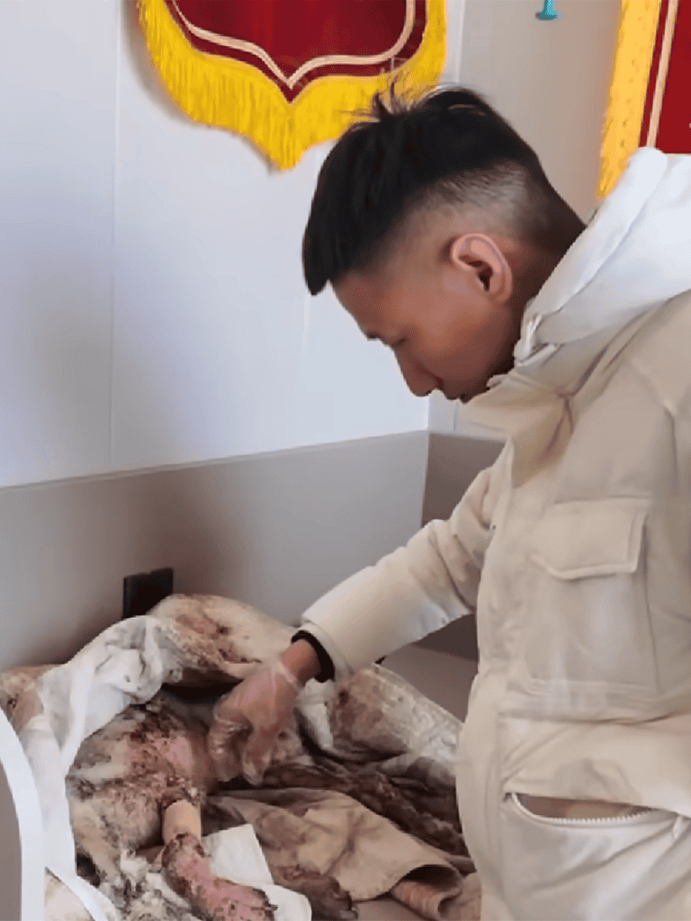 A person attending to an injured dog lying on a veterinary bed, emphasizing pet health, care, and veterinary assistance, focusing on animal welfare and treatment.