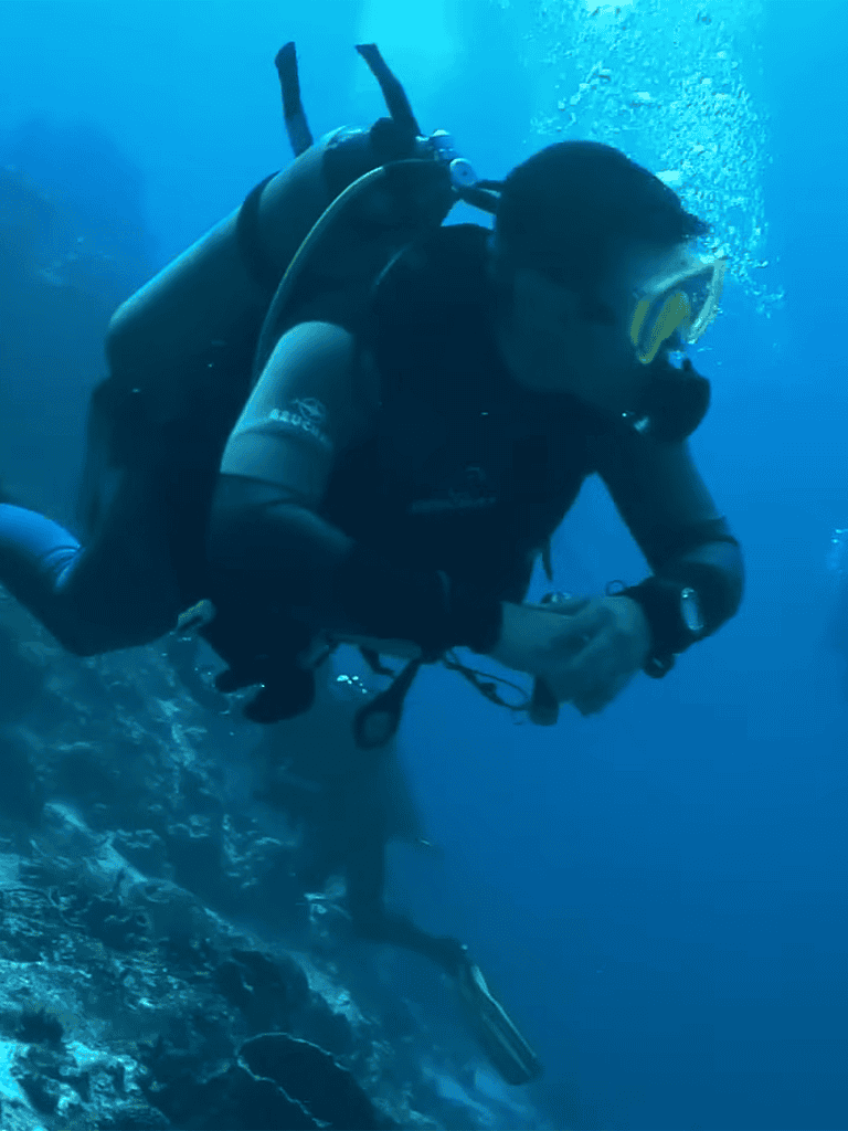 Scuba diver exploring underwater coral reefs and marine life.