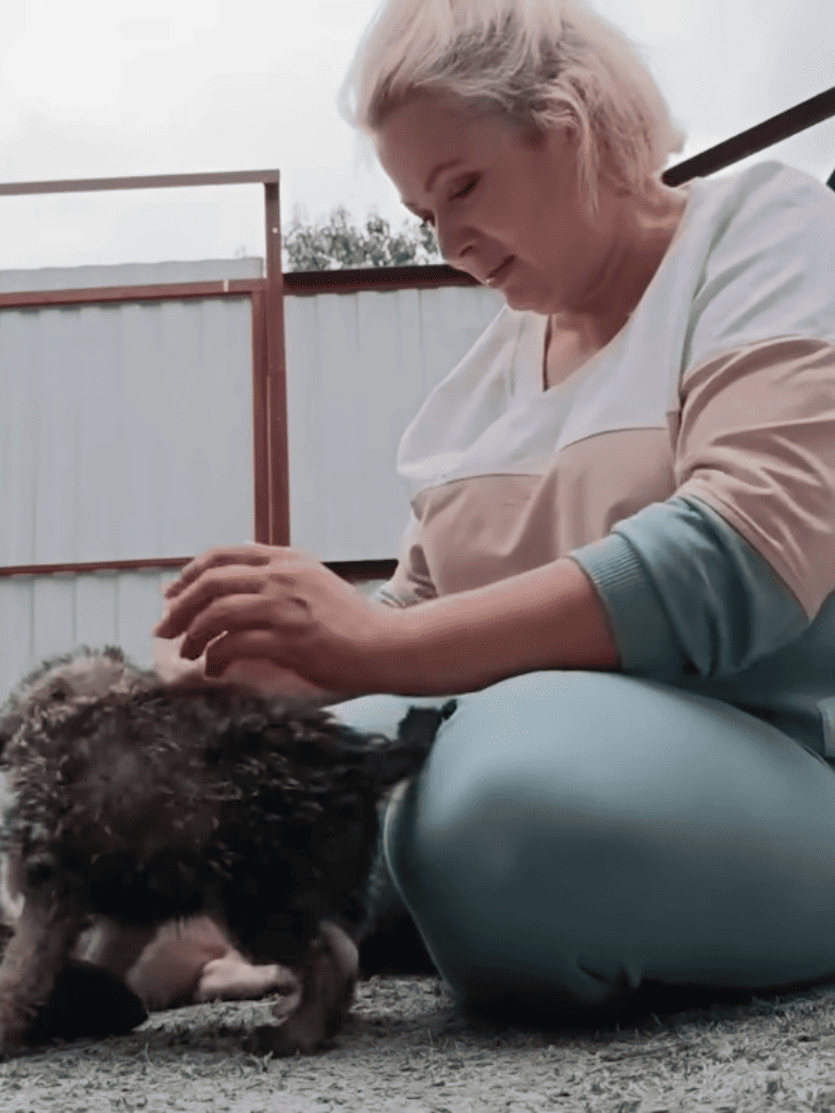 Puppy being cuddled outside for care and comfort.
