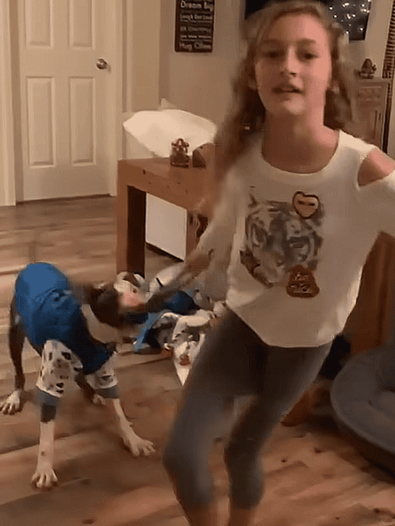 Cute girl playing with energetic dog indoors.