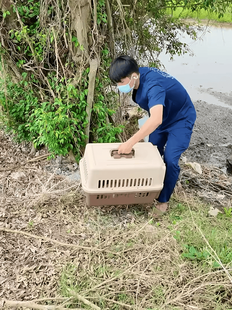 Rescue worker handling pet carrier outdoors near water and greenery.