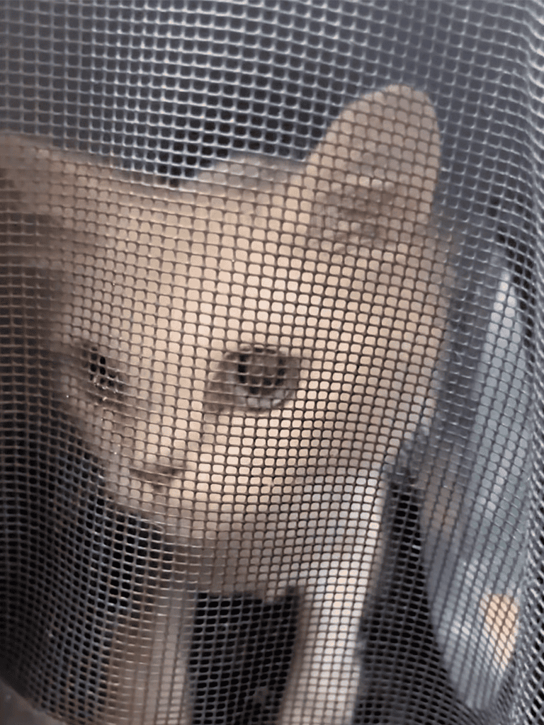 Adorable puppy peering through mesh screen ready for adoption or care.
