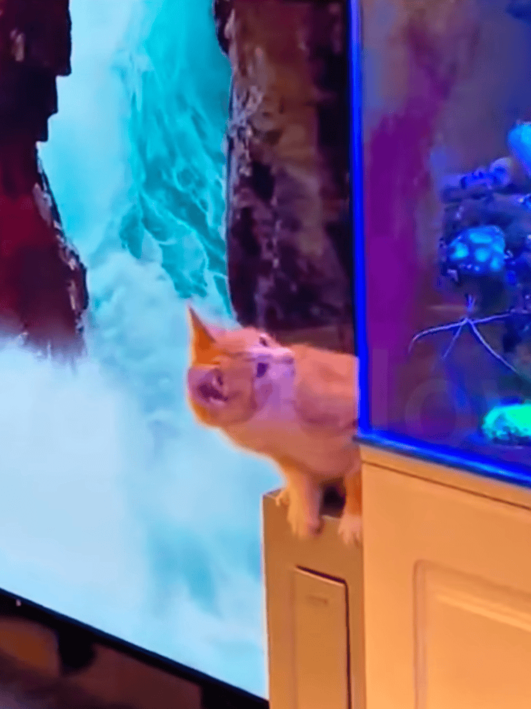 Cute puppy hiding near aquarium, playful pet among vibrant fish tanks.