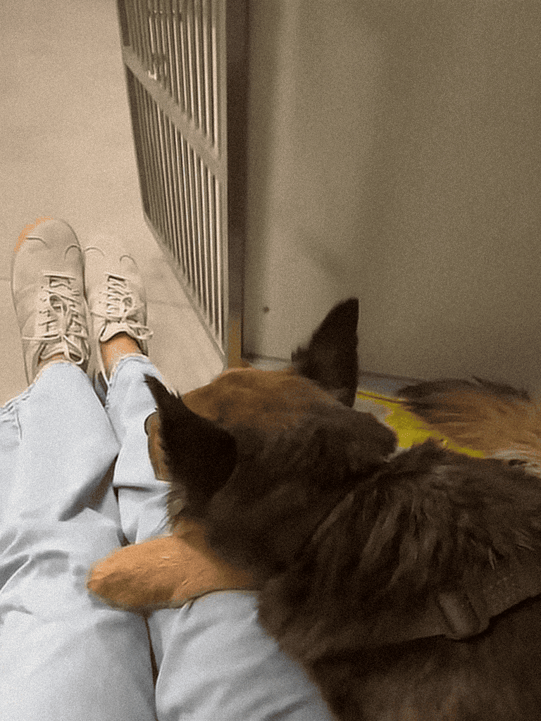 Comfortable dog lying next to owner, emphasizing pet relaxation and care.