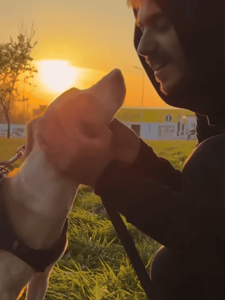 Adorable dog and owner smiling and enjoying sunset outdoors.