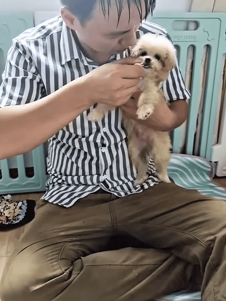 Adorable puppy being cradled and cared for indoors, showcasing pet comfort and emotional bonding.