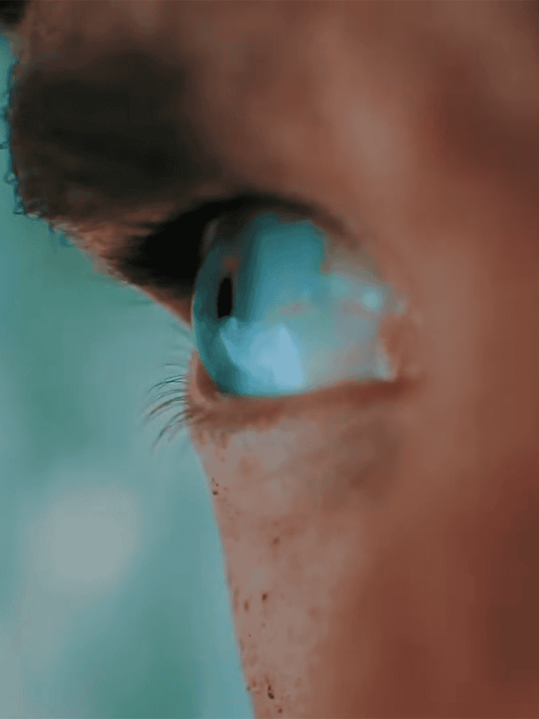 Close-up of a dog's eye wearing a blue contact lens, showing clear detail.