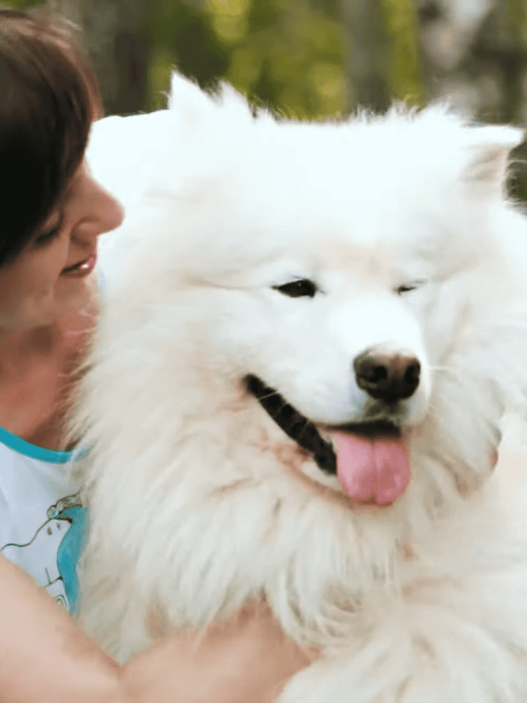 Dog grooming and pet care at Dogfix.com.