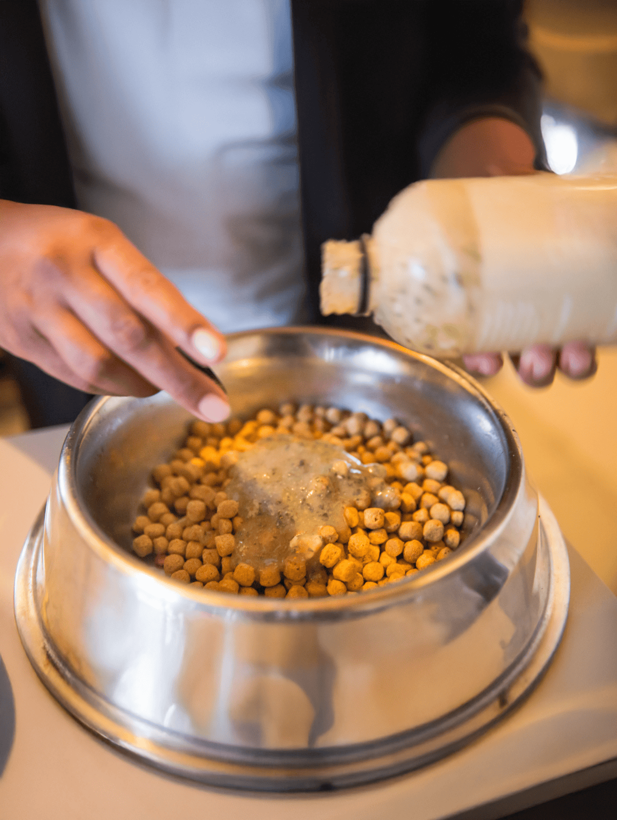 Dog meal being served from a food dispenser for optimal pet nutrition.