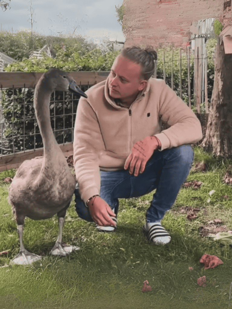 Friendly man petting a goose in a green outdoor space.