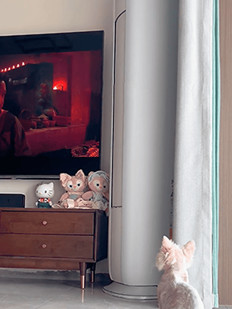 Dog-friendly living room with TV and plush toys.