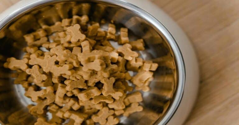 Dog treat biscuits in a stainless steel bowl. Perfect healthy snacks for dogs and pet nutrition.