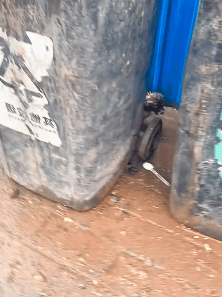 Recycling bin with dog waste bag dispenser for responsible pet cleanup at outdoor locations.